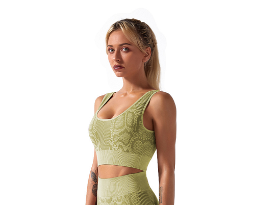 Leopard Print Women  Seamless Workout Plus Size Fitness Wear Workout Gym Sports Yoga Sets