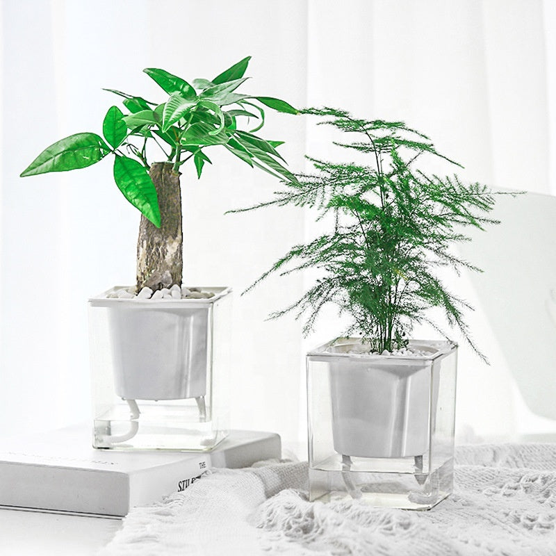 Self Watering Square Planter Plastic Flower Pot Clear Glass Hydroponic Flower-Pot