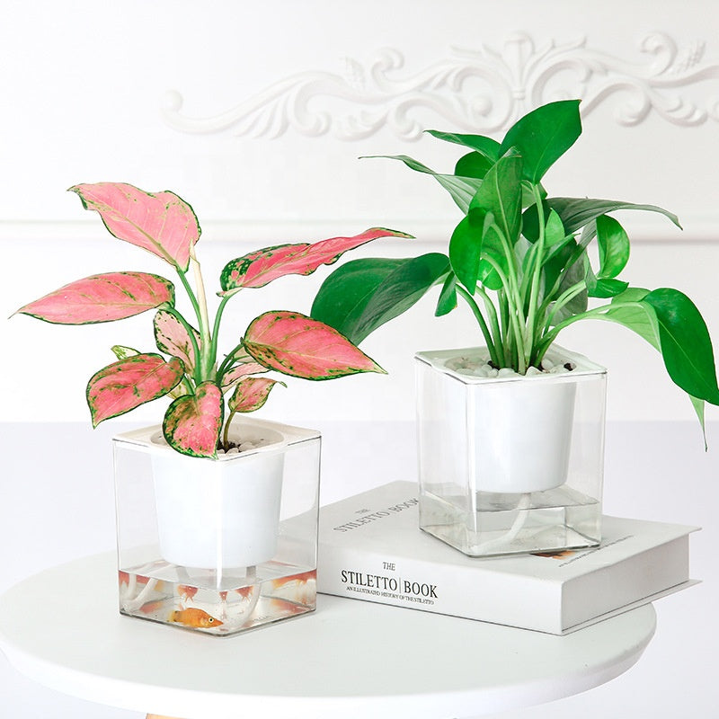 Self Watering Square Planter Plastic Flower Pot Clear Glass Hydroponic Flower-Pot