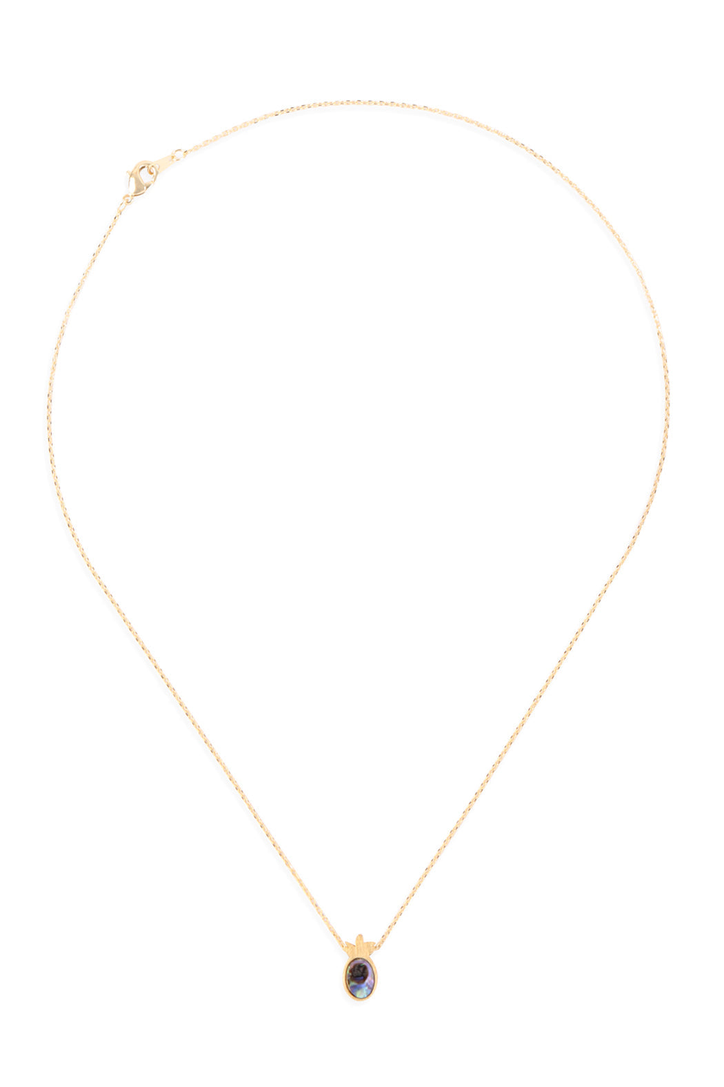 Hdnen609 - Pineapple With Abalone Shell Pendant Necklace