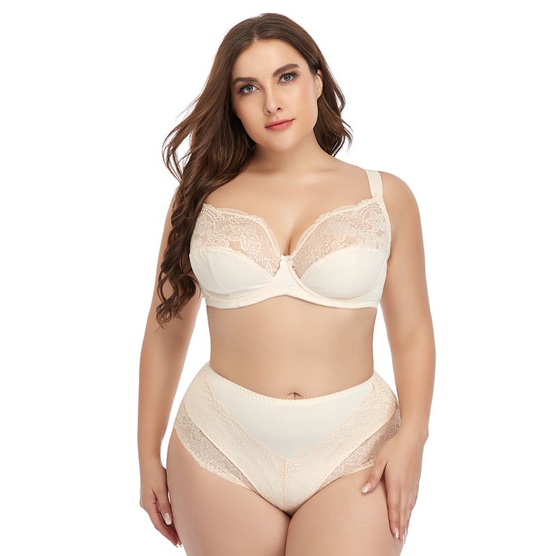 Customized Female E Cup Size Lace Bra Brief Set Lingerie Women's Plus Size Underwear Pantie and Bra Sets