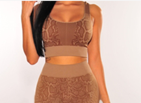 Leopard Print Women  Seamless Workout Plus Size Fitness Wear Workout Gym Sports Yoga Sets