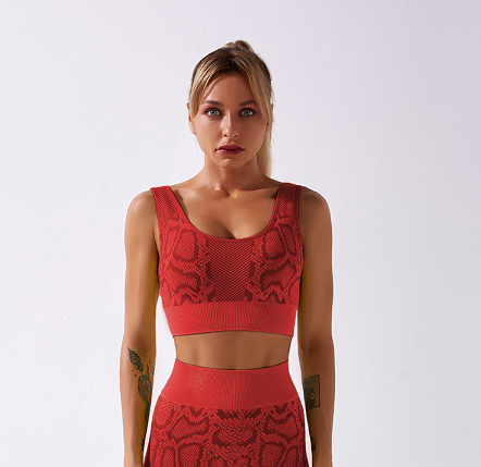 Leopard Print Women  Seamless Workout Plus Size Fitness Wear Workout Gym Sports Yoga Sets