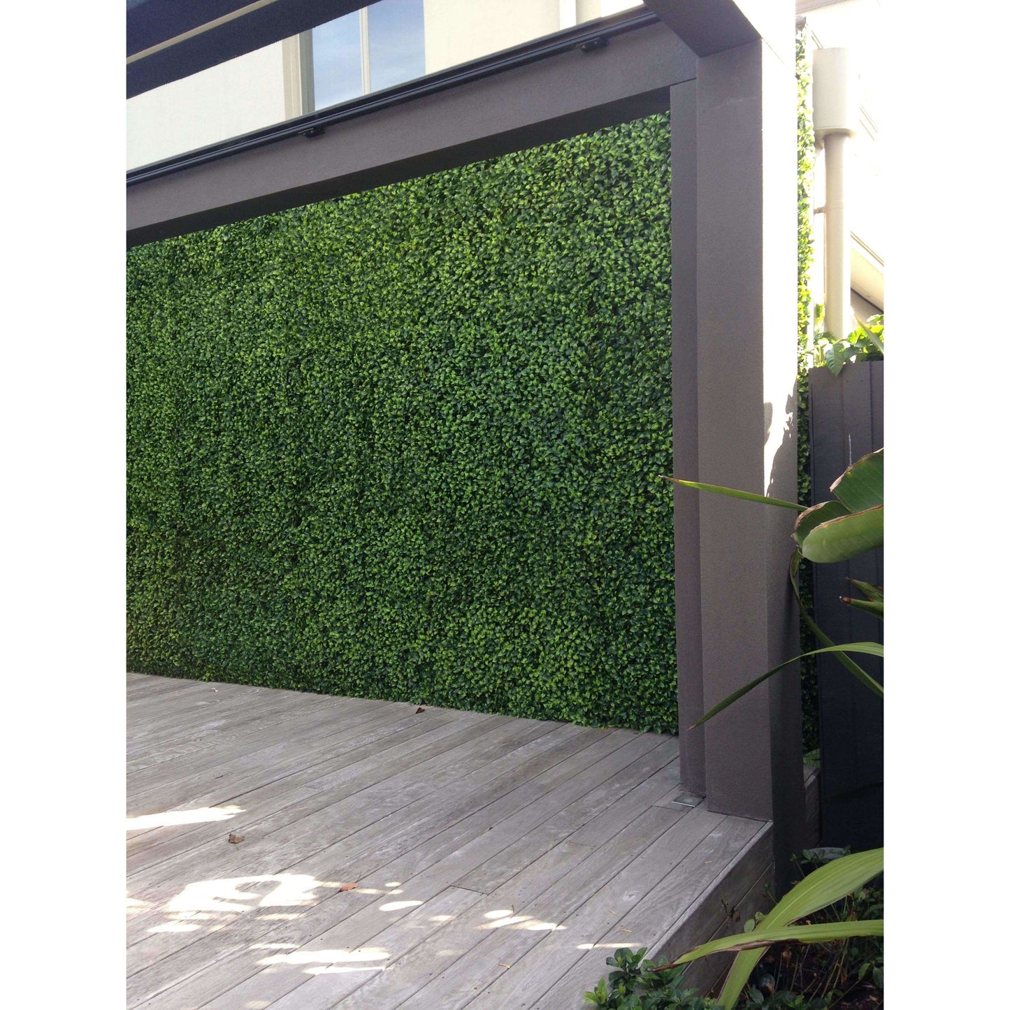 Light English Artificial Boxwood Hedge Panel / Fake Green Wall 1m X 1m UV Resistant