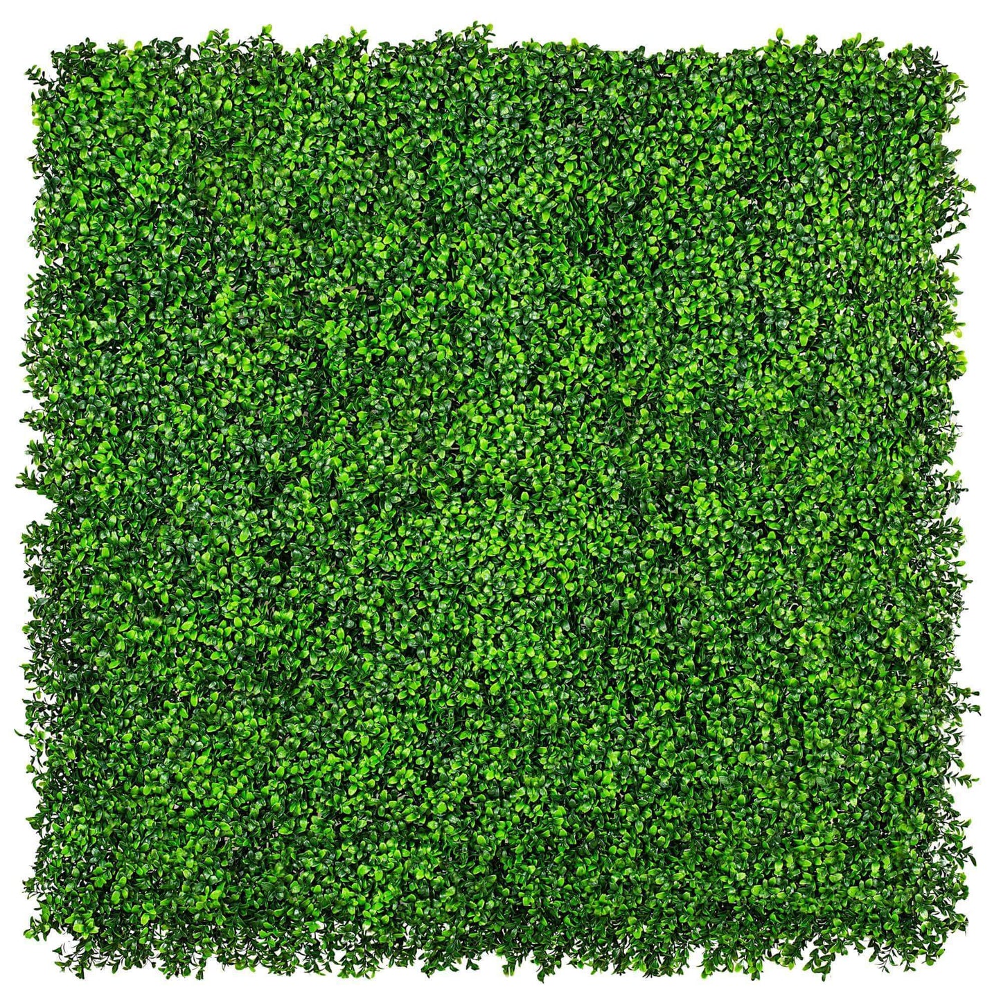 Dense Buxus Artificial Hedge Tile / Fake Vertical Garden 1m X 1m UV Resistant