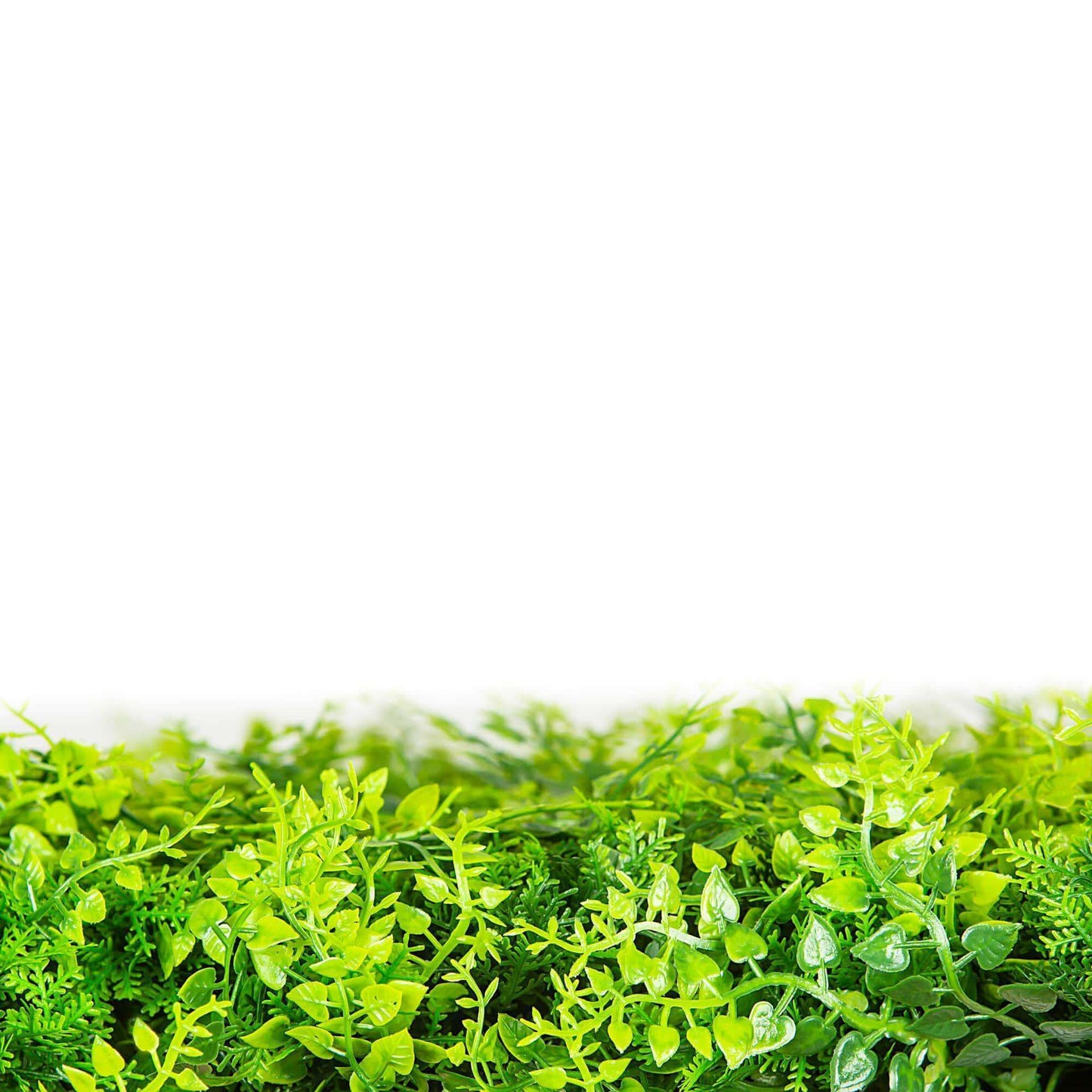 Dense Fern Artificial Hedge / Fake Green Wall DIY Vertical Garden 1m X 1m  UV Resistant