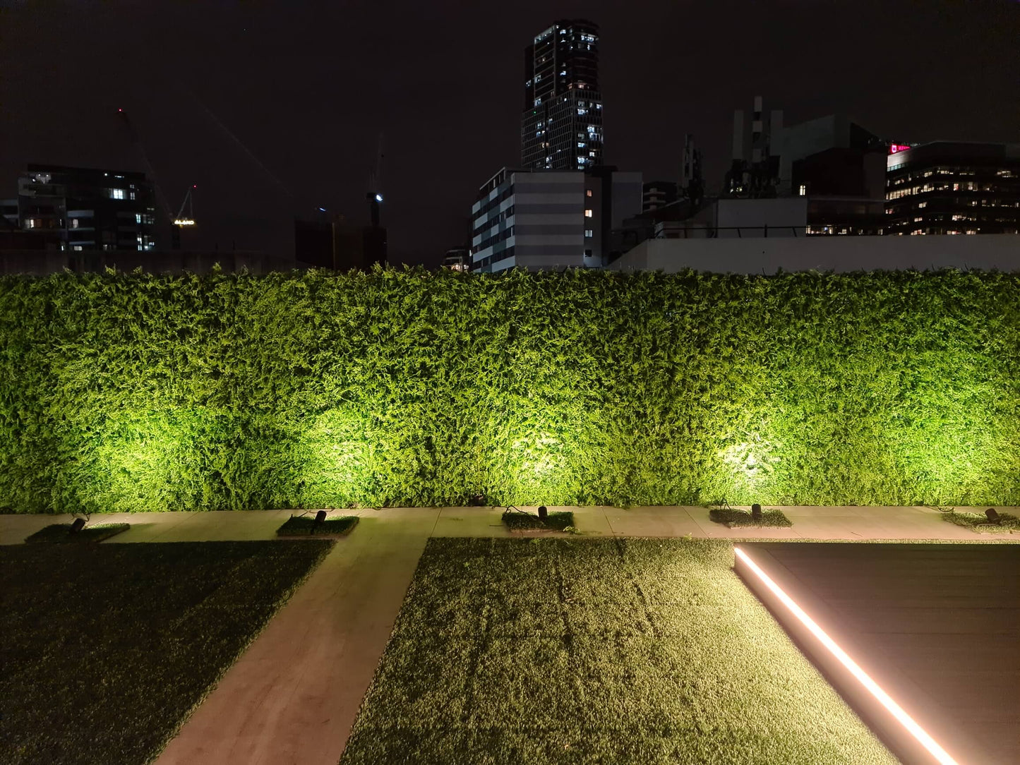Dense Fern Artificial Hedge / Fake Green Wall DIY Vertical Garden 1m X 1m  UV Resistant