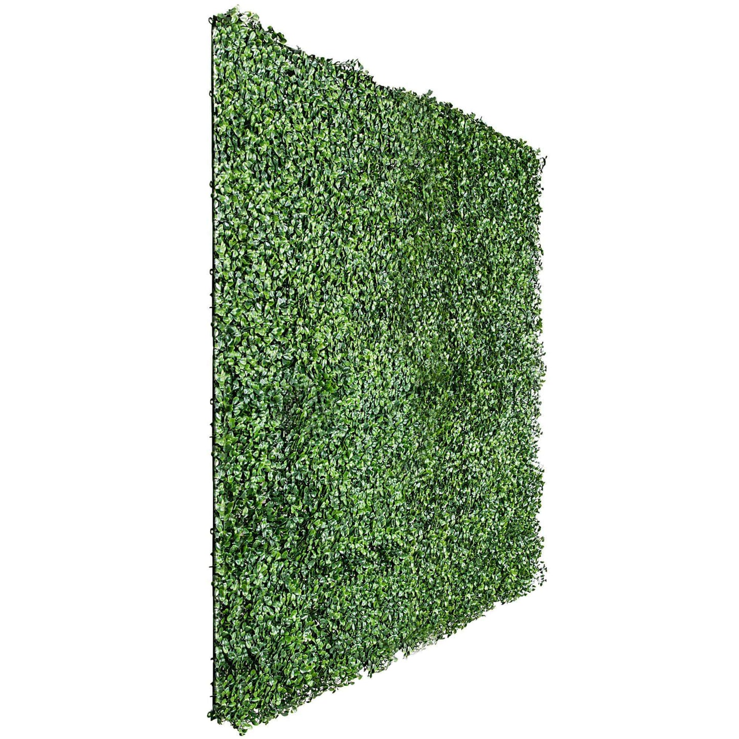 English Boxwood Artificial Hedge Panel Green Wall 1m X 1m UV Resistant