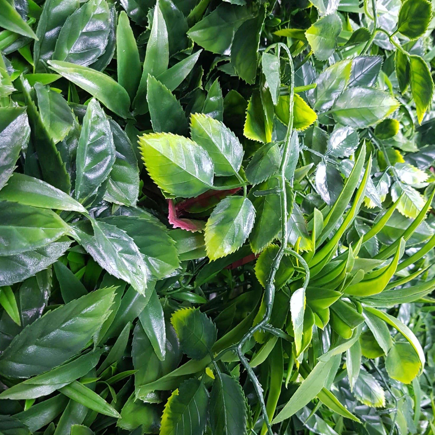 Green Meadows Artificial Vertical Garden / Fake Green Wall 1m X 1m UV Resistant