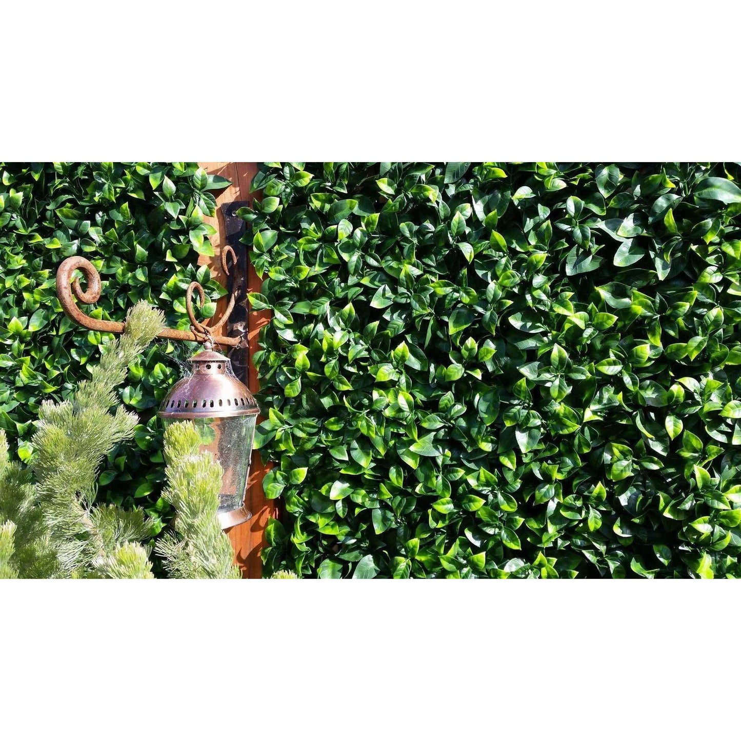 Jasmine Artificial Hedge Screen / Green Wall Panel 100cm X 100cm UV Resistant