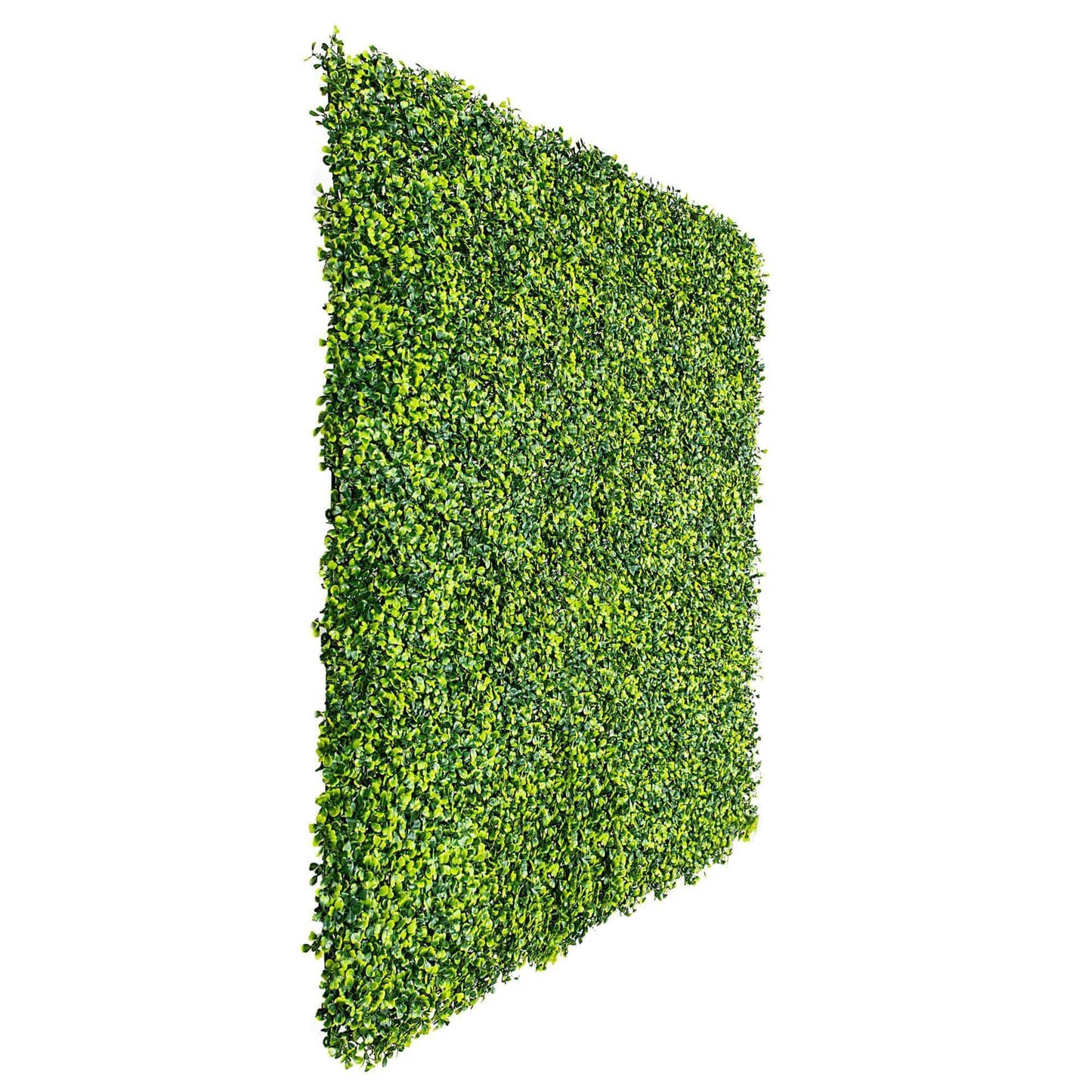 Light English Artificial Boxwood Hedge Panel / Fake Green Wall 1m X 1m UV Resistant