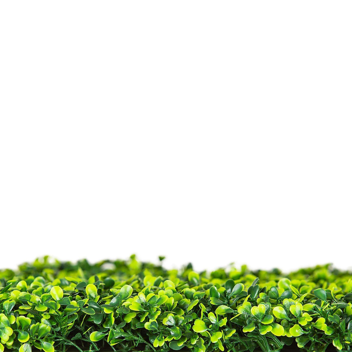 Light English Artificial Boxwood Hedge Panel / Fake Green Wall 1m X 1m UV Resistant
