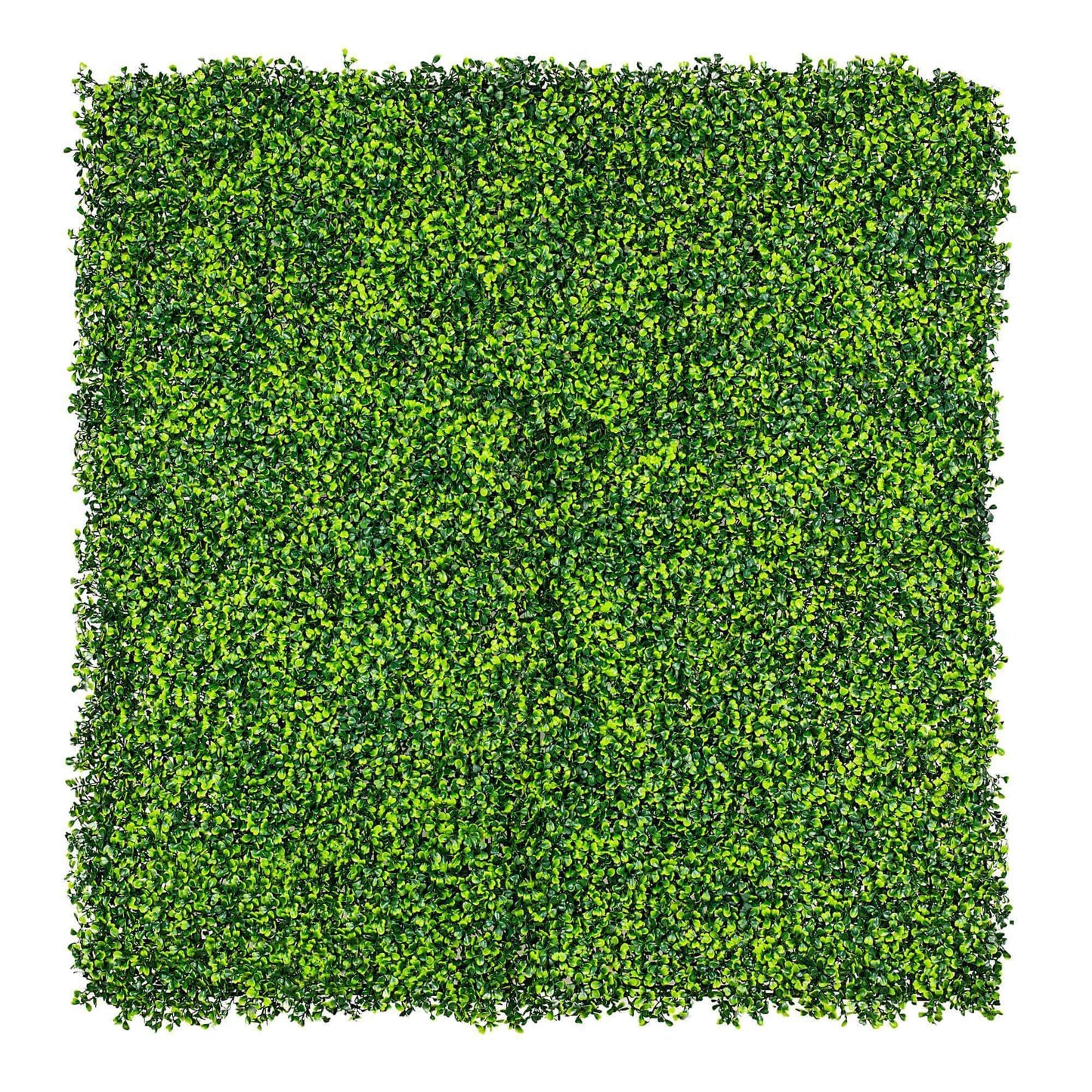 Light English Artificial Boxwood Hedge Panel / Fake Green Wall 1m X 1m UV Resistant