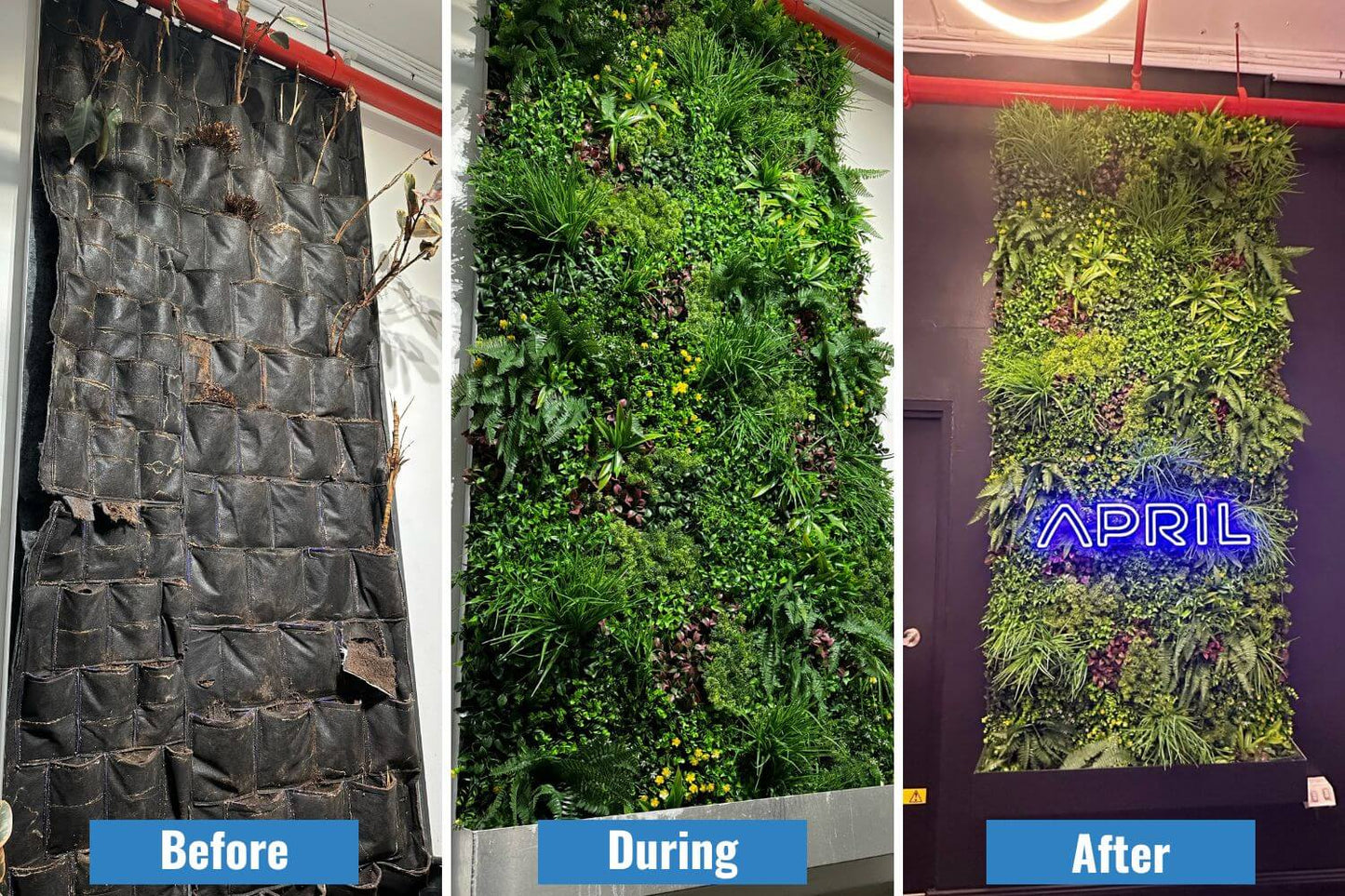 Luxury Country Fern Artificial Vertical Garden / Green Wall 100cm X 100cm UV Resistant