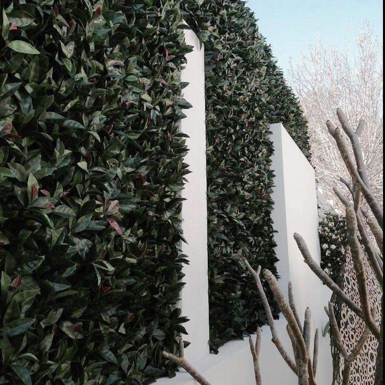 Photinia Artificial Hedge Panel / Fake Vertical Garden 1m X 1m UV Resistant