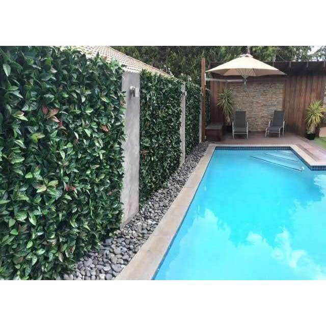 Photinia Artificial Hedge Panel / Fake Vertical Garden 1m X 1m UV Resistant