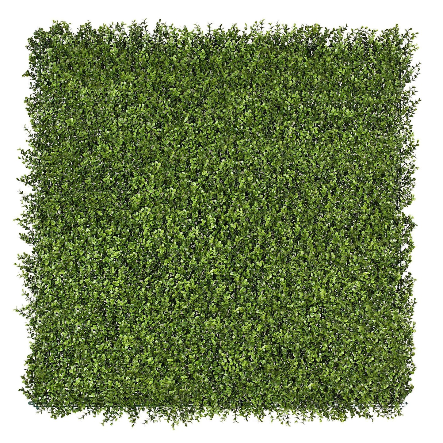 Premium Natural Buxus Artificial Hedge Panel 1m X 1m UV Resistant